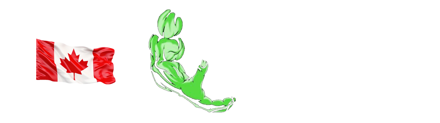 Demolition: Safe Asbestos, Mold and Junk Removal